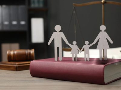 Family Lawyer